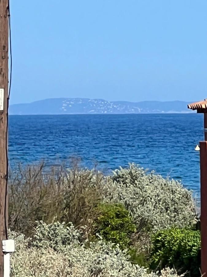 Plein Sud, Bel Appartement 20 Metres De La Plage La Capte 耶尔 外观 照片